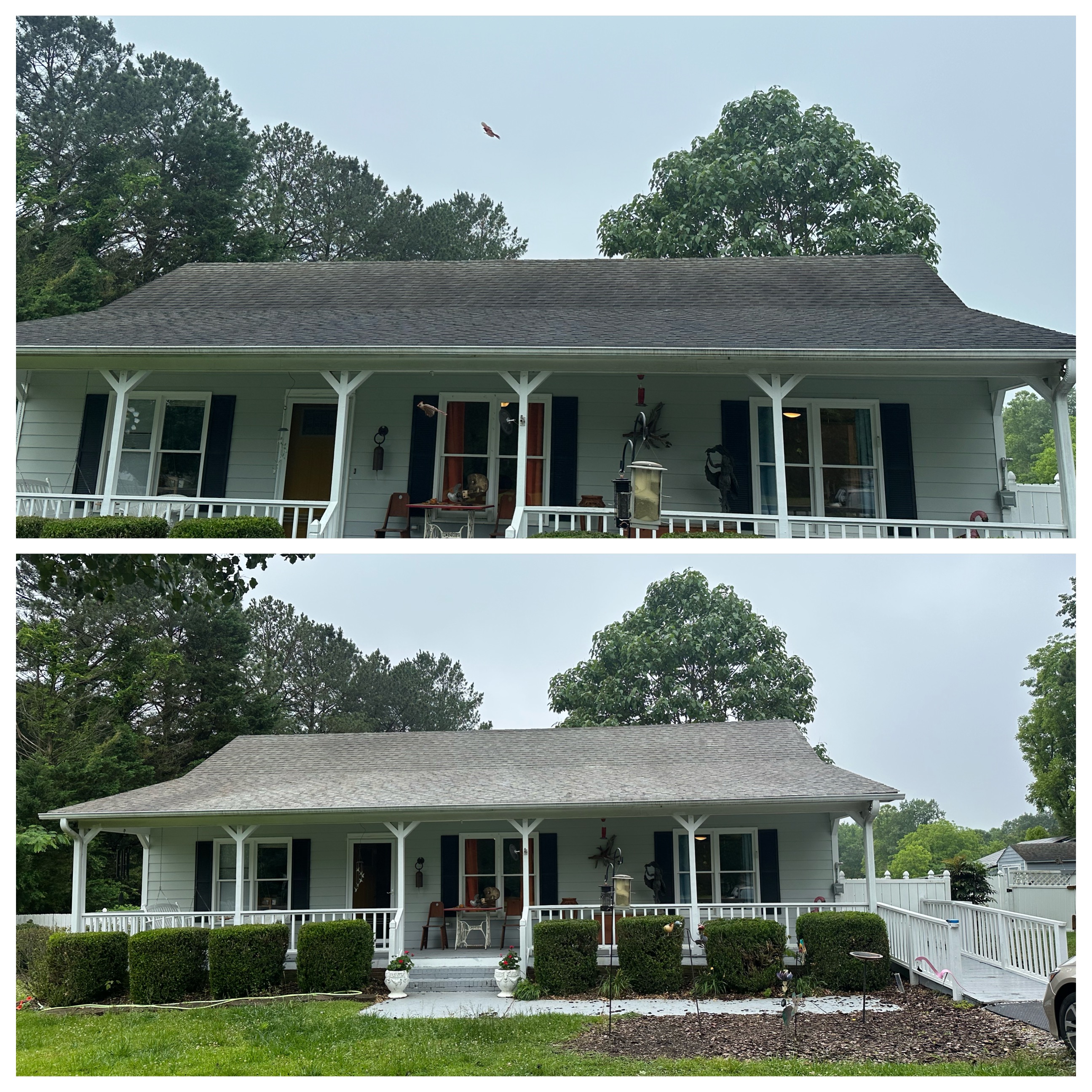 Top Quality Roof Cleaning Clayton,NC Thumbnail